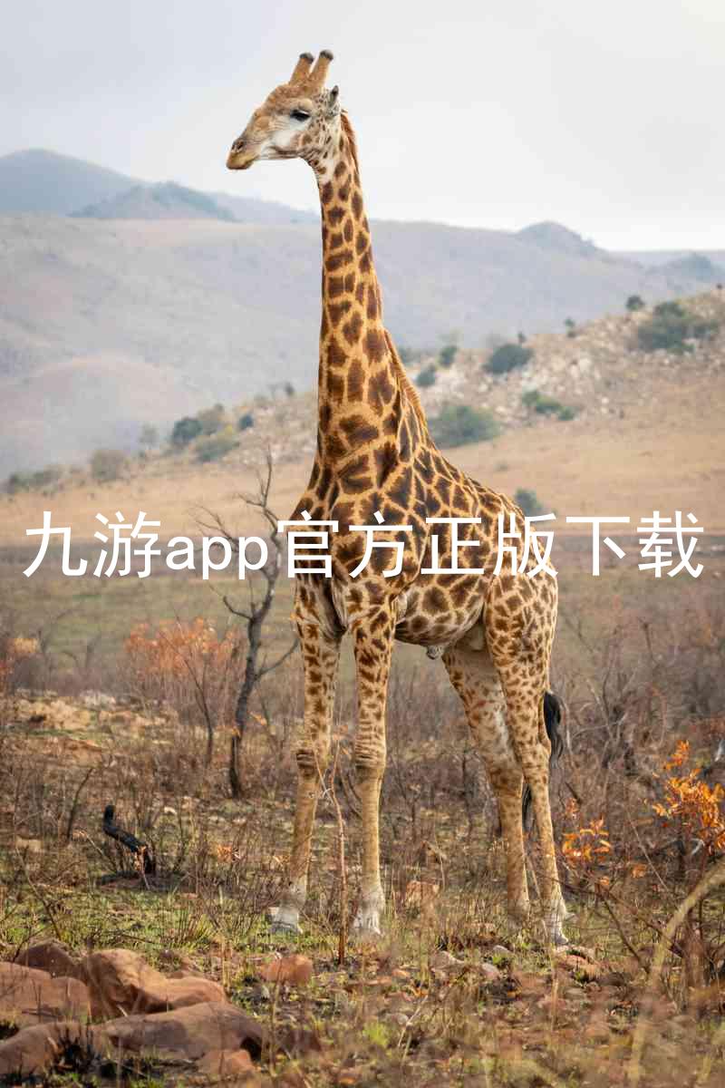 九游app官方正版下载